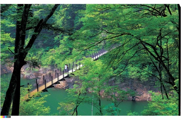 🏛️ 신의 창고 사원(진조지) 이미지 5